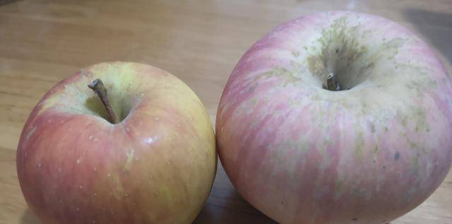 洛川红富士苹果怎么吃