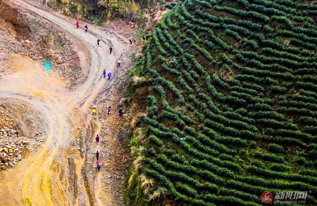 陽新縣白沙鎮:向功源夢圓九頂山