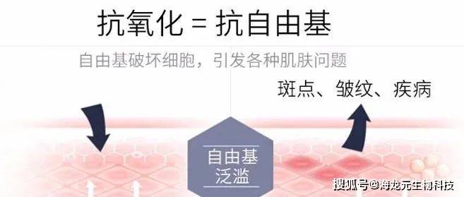 自由基氧化皮肤 90e4c75216484aa0aa233a09f09e7ea1.jpeg