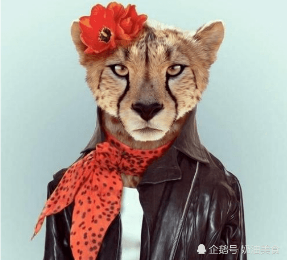 成语锅什么_成语故事图片(3)