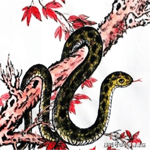 属蛇的都是哪一年属蛇的 d83294f63858498abf721ab7999faec8.png