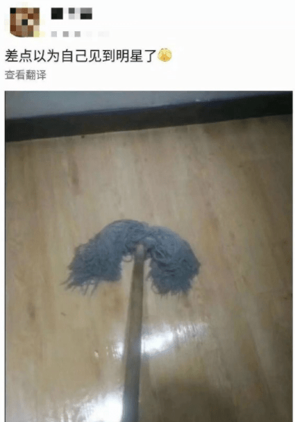 闪闪成语是什么_这是什么成语看图