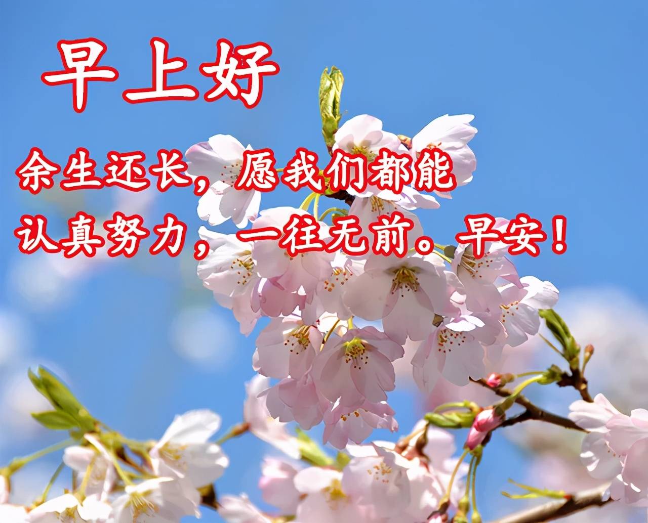 原创祝福早上好经典动态图片带字清早早上好快乐问候暖心句子