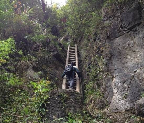 湖南一个偏僻的悬崖村，孩子上学要爬天梯，而且梯子还是木头做的