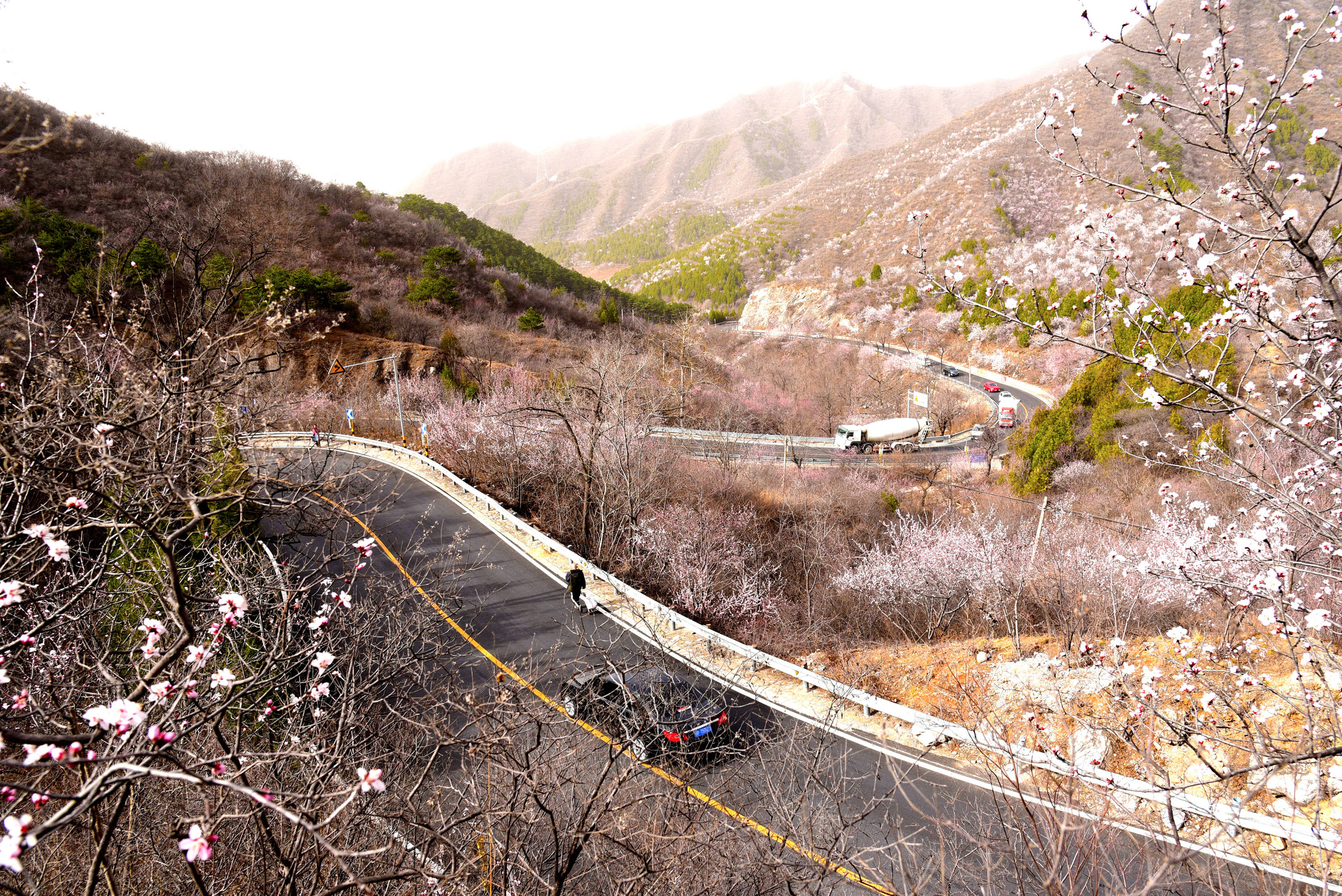 北京春季赏花宝藏地,长达8.6公里的桃花景观大道,清明约起来