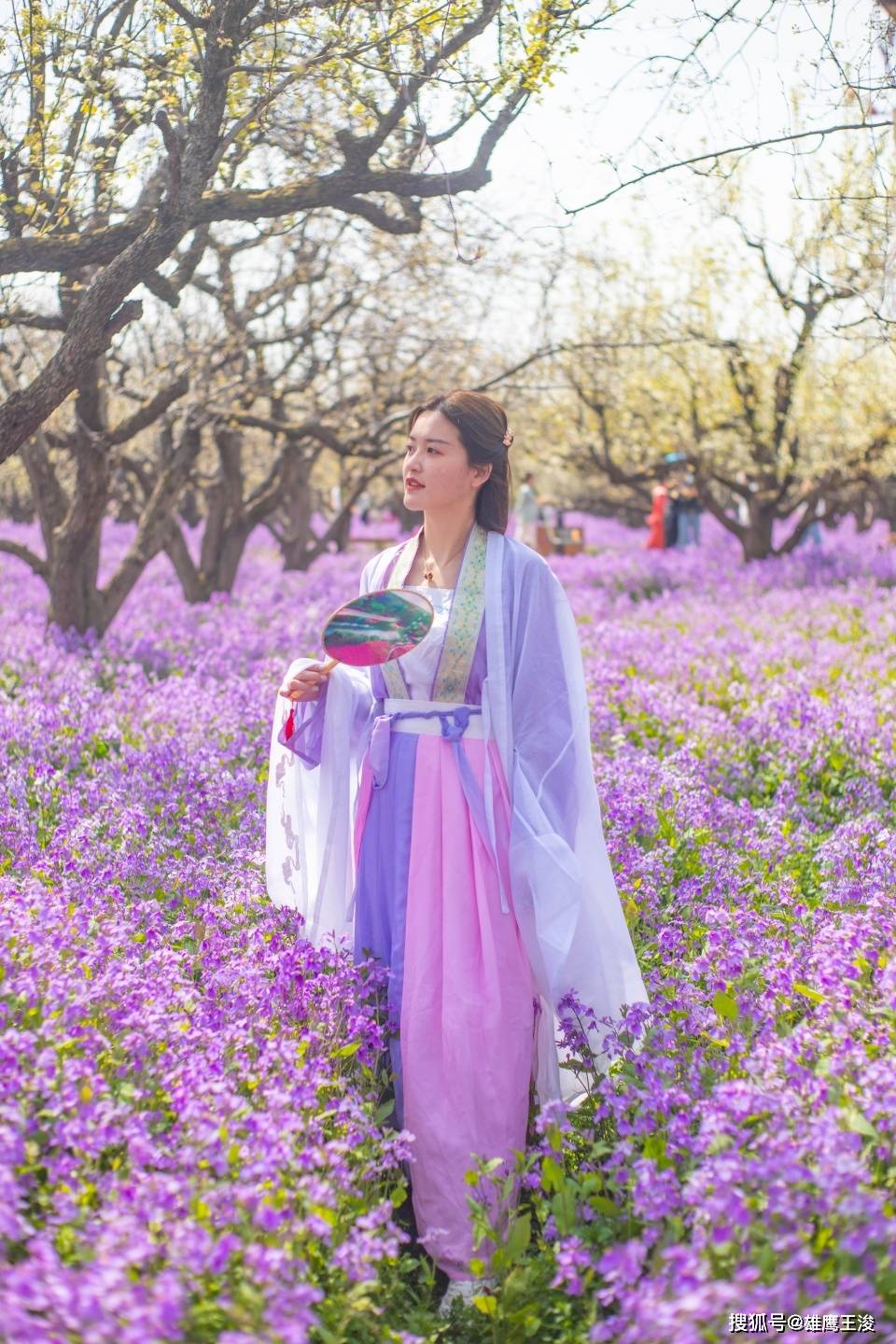 江苏有片“梨兰会”，四月初美若仙境，一到春天就吸引游客