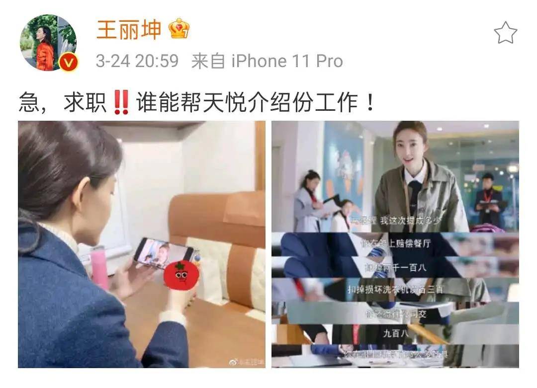 王丽坤演绎的菜鸟导游，仿佛看到刚工作时的我们自己