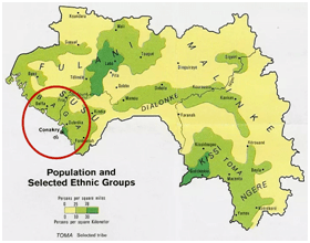 非洲鼓与雕塑艺术尼姆巴nimba