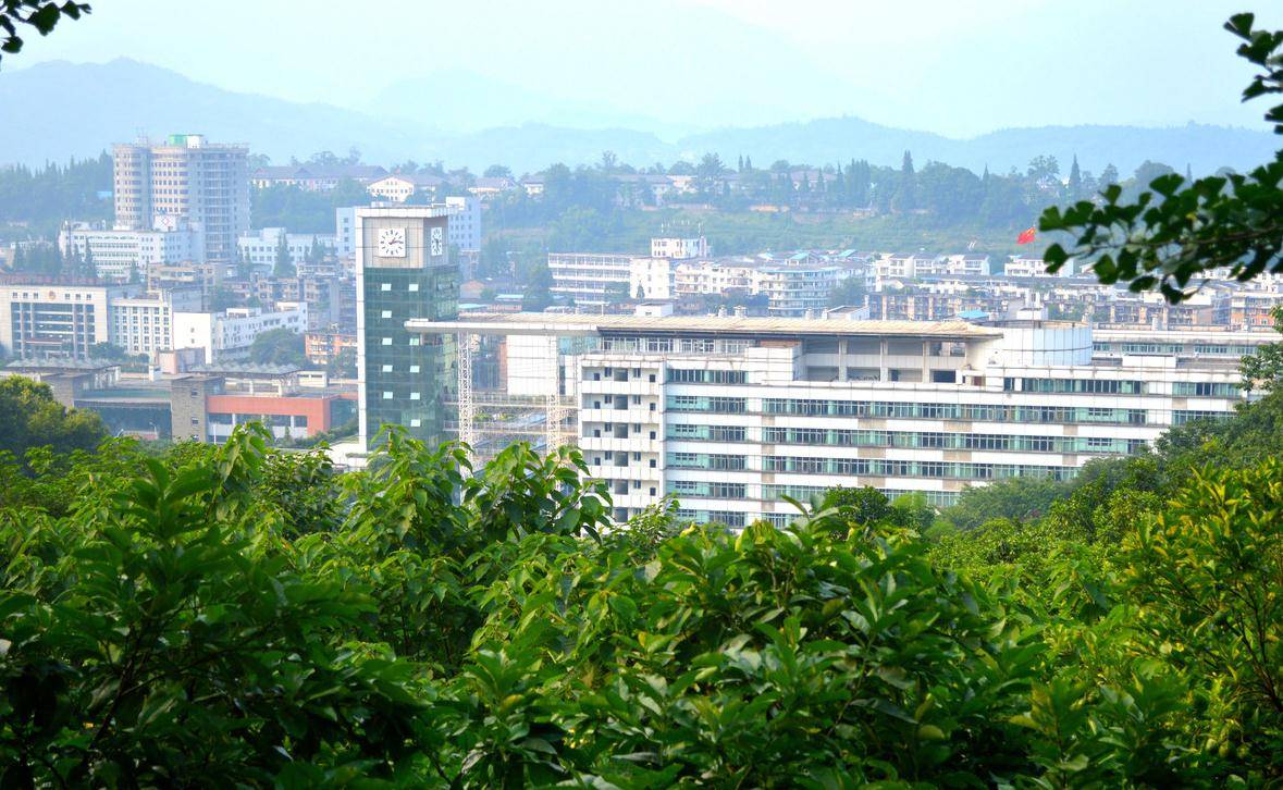 四川农业大学排名(3)