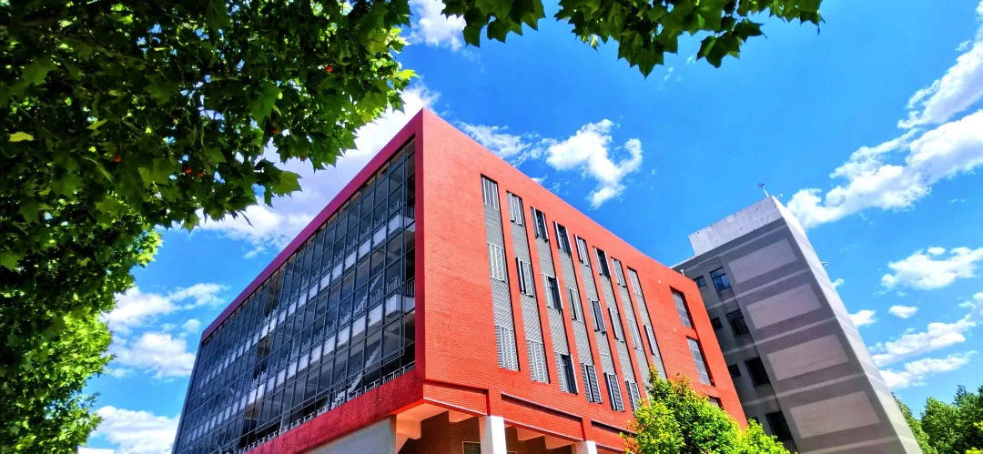 北理排名_深圳北理莫斯科大学