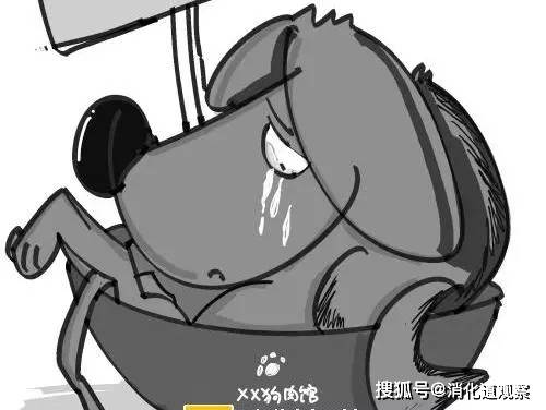 受伤的人不能吃发物吗 e88fee77a6c24c4c906adacfa38f07c9.jpeg