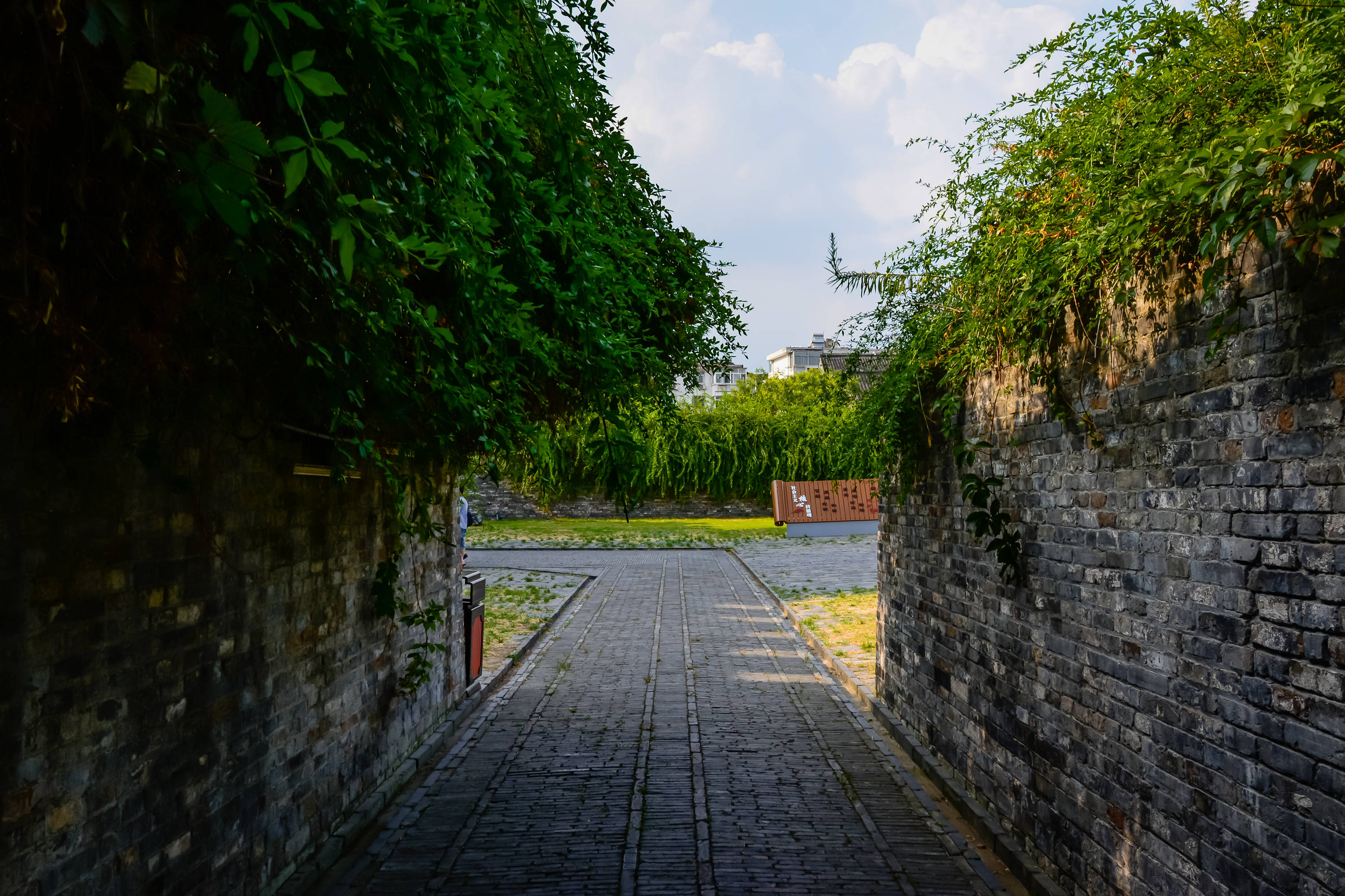 梦回故里,洪水滔天,探索梦到老家发大水的深层寓意与心理解析 梦回故里,洪水滔天,探索梦到老家发大水的深层寓意与心理解析