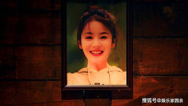 原创司藤单志刚原著大结局爱过陈宛对不起安蔓被秦放所厌恶