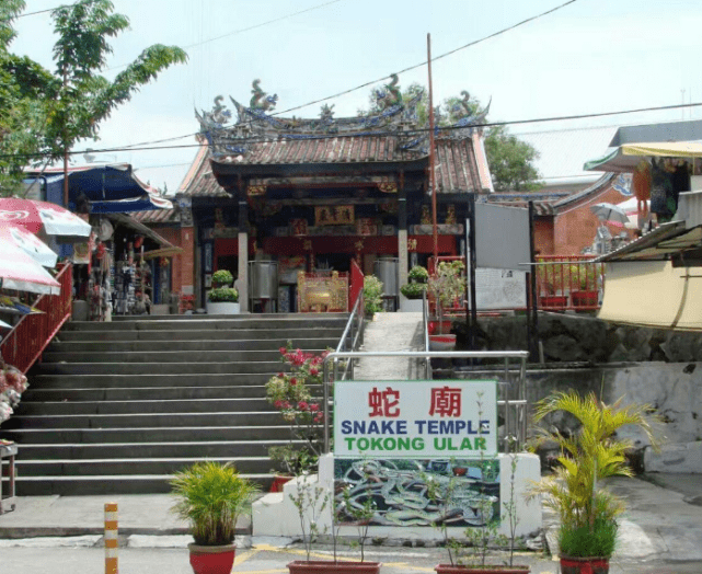 全球唯一的“蛇庙”，寺内遍地是青蛇，游客：我们一点也不怕