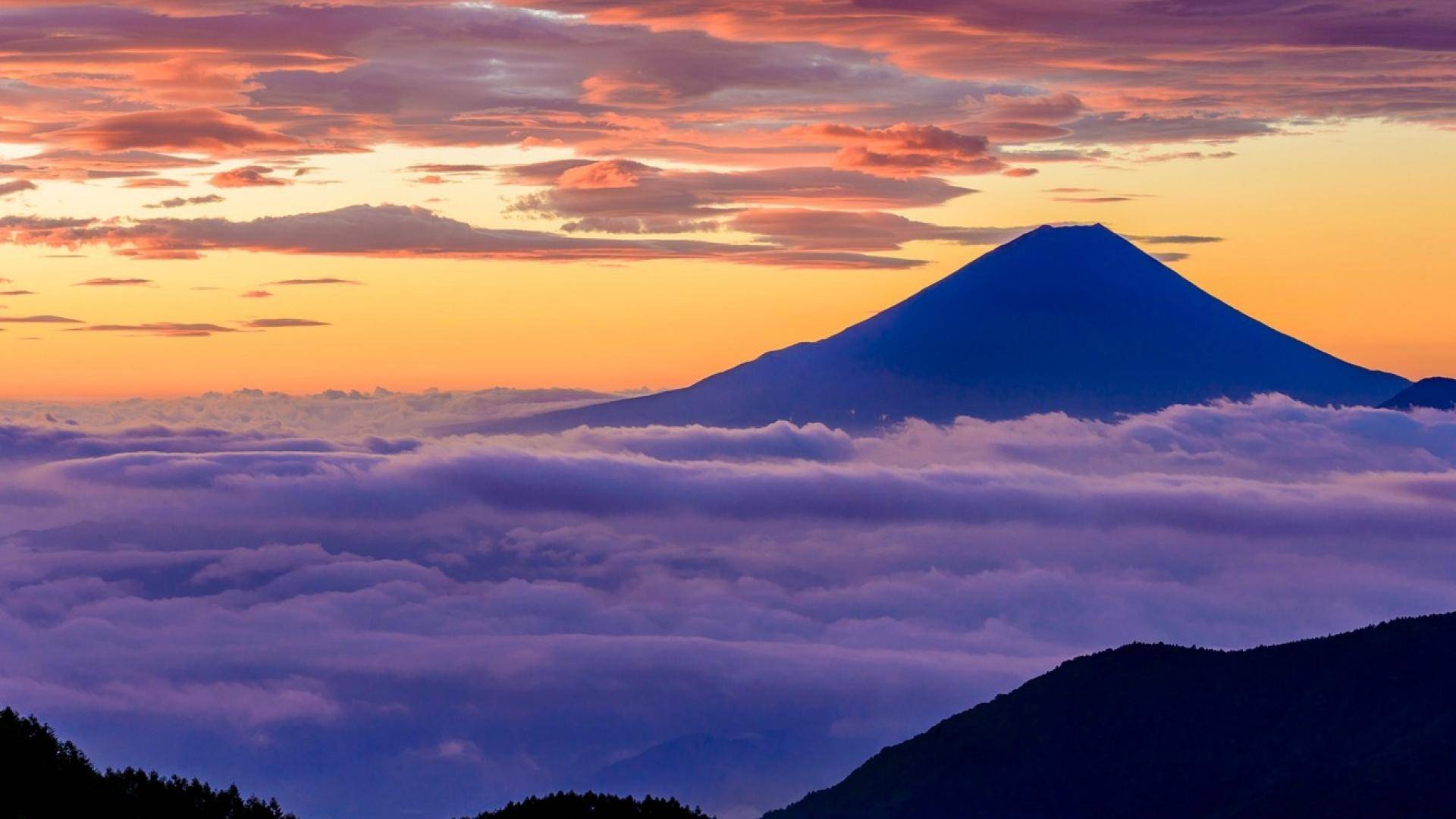 十二星座的代表颜色白羊座最热烈金牛座最烂漫