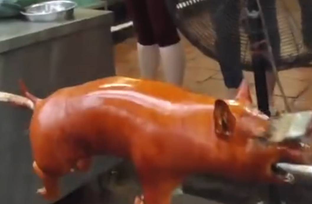 为什么烤乳猪嘴里都要放一个苹果 说出来你都不敢相信 嘴巴