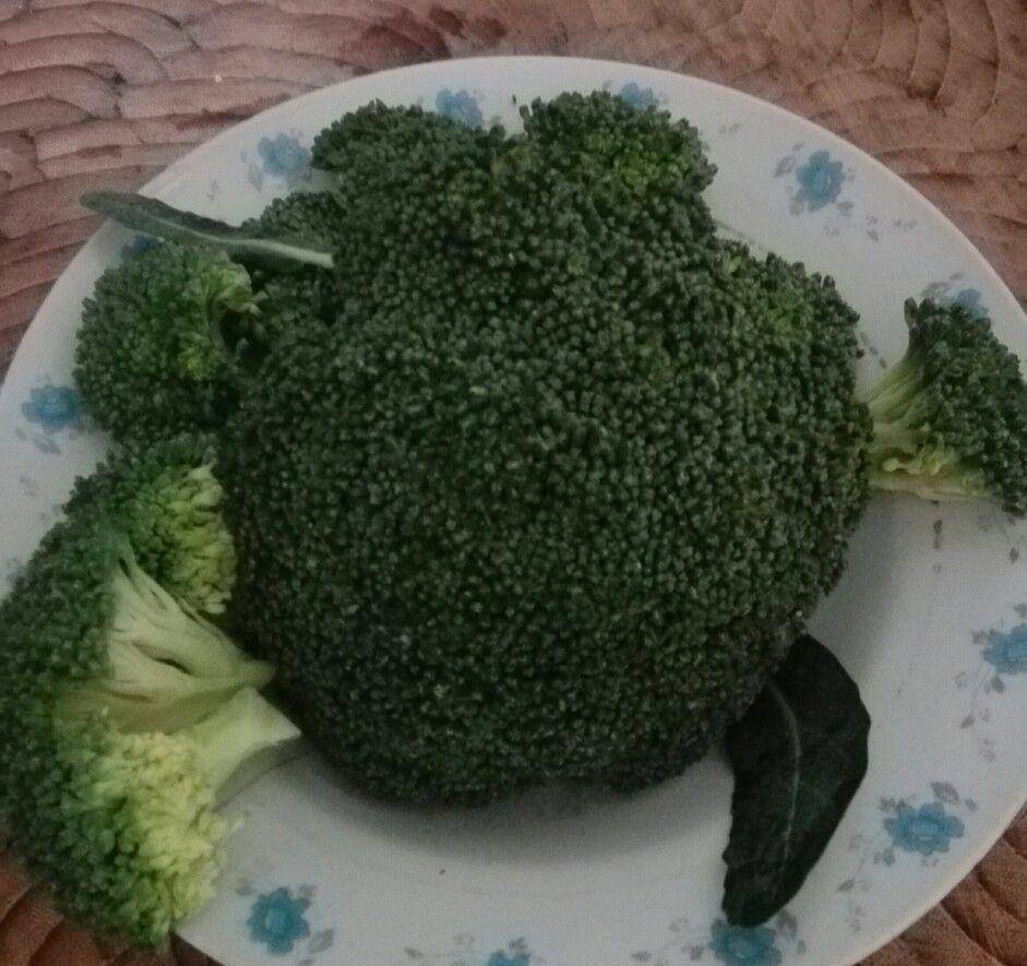 23b2305a1d5e46d9876590894e6fcb56.jpeg