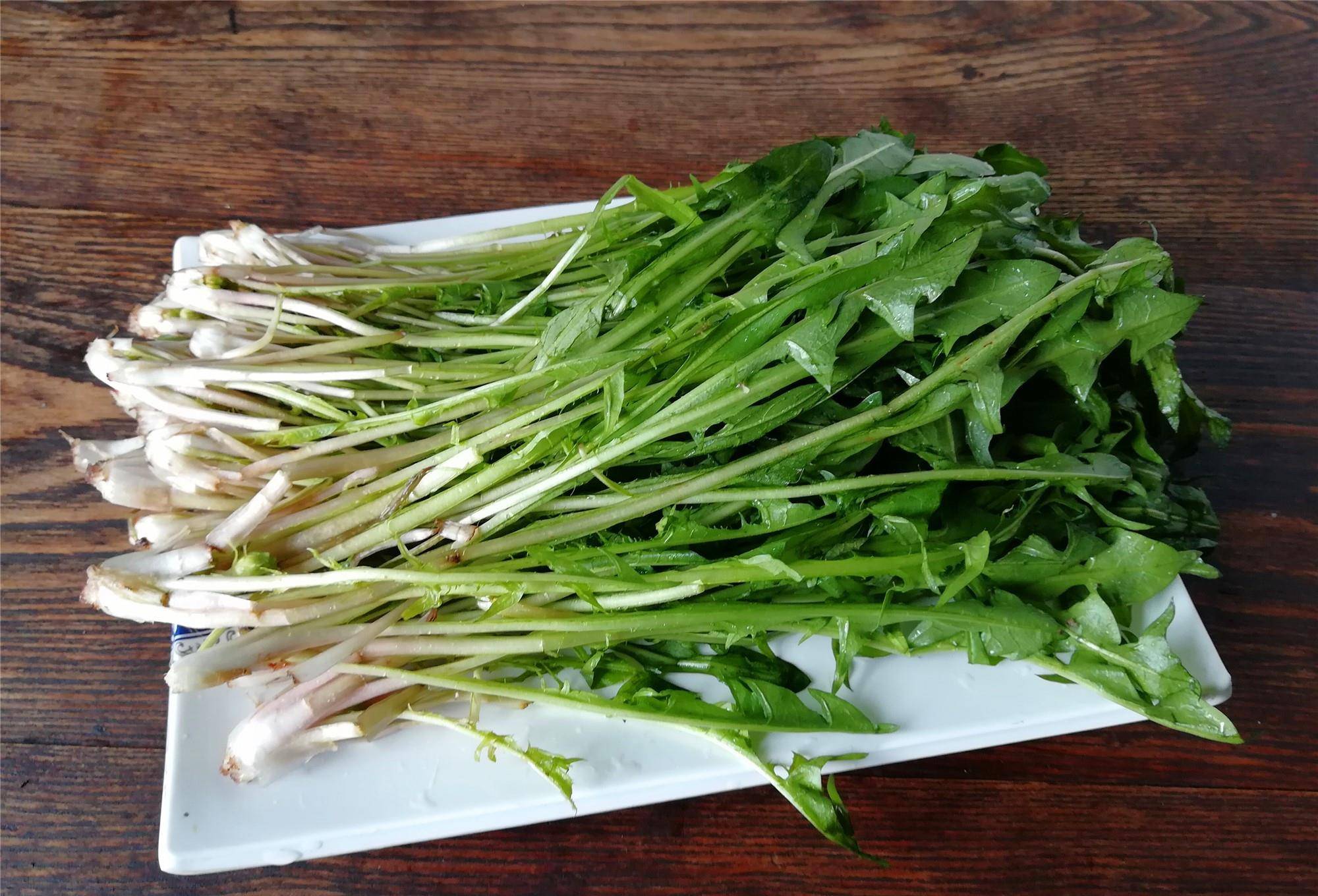 婆婆丁学名是蒲公英吗 2c49f8d6dab54fc892380e5ceef170df.jpeg