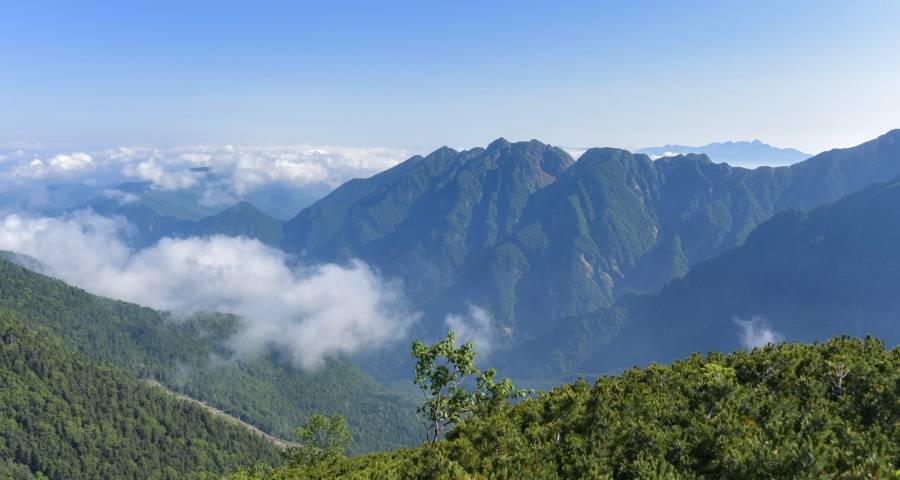 净水机果蔬消毒机“套路”老年人成风,卖健康不是靠忽悠!-家电圈官网