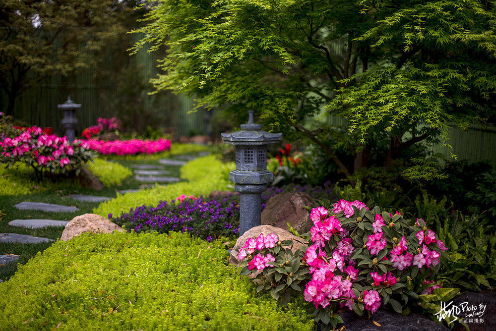 上海国际花展 这些小花园美得让人眼馋 哪一款最让你心动 庭院