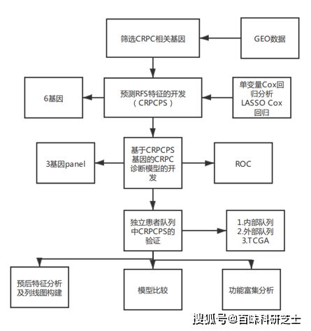 6分 预后模型新思路 基因