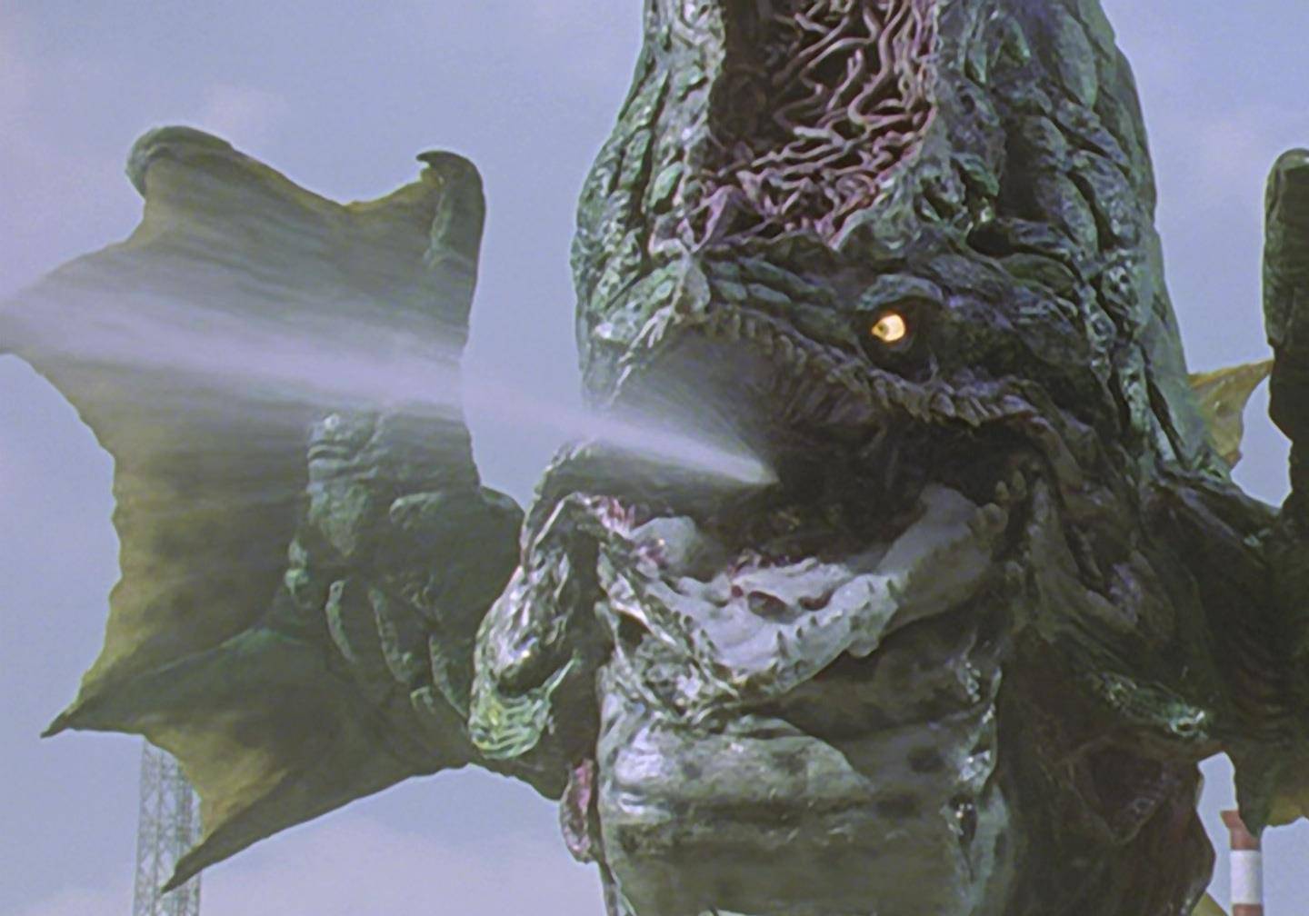 只不过有些时候,大古在特别自信的情况下,也缔造出