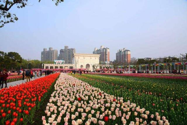 被誉为“上海最美公园”，投入高达18亿人民币，有68万平方米