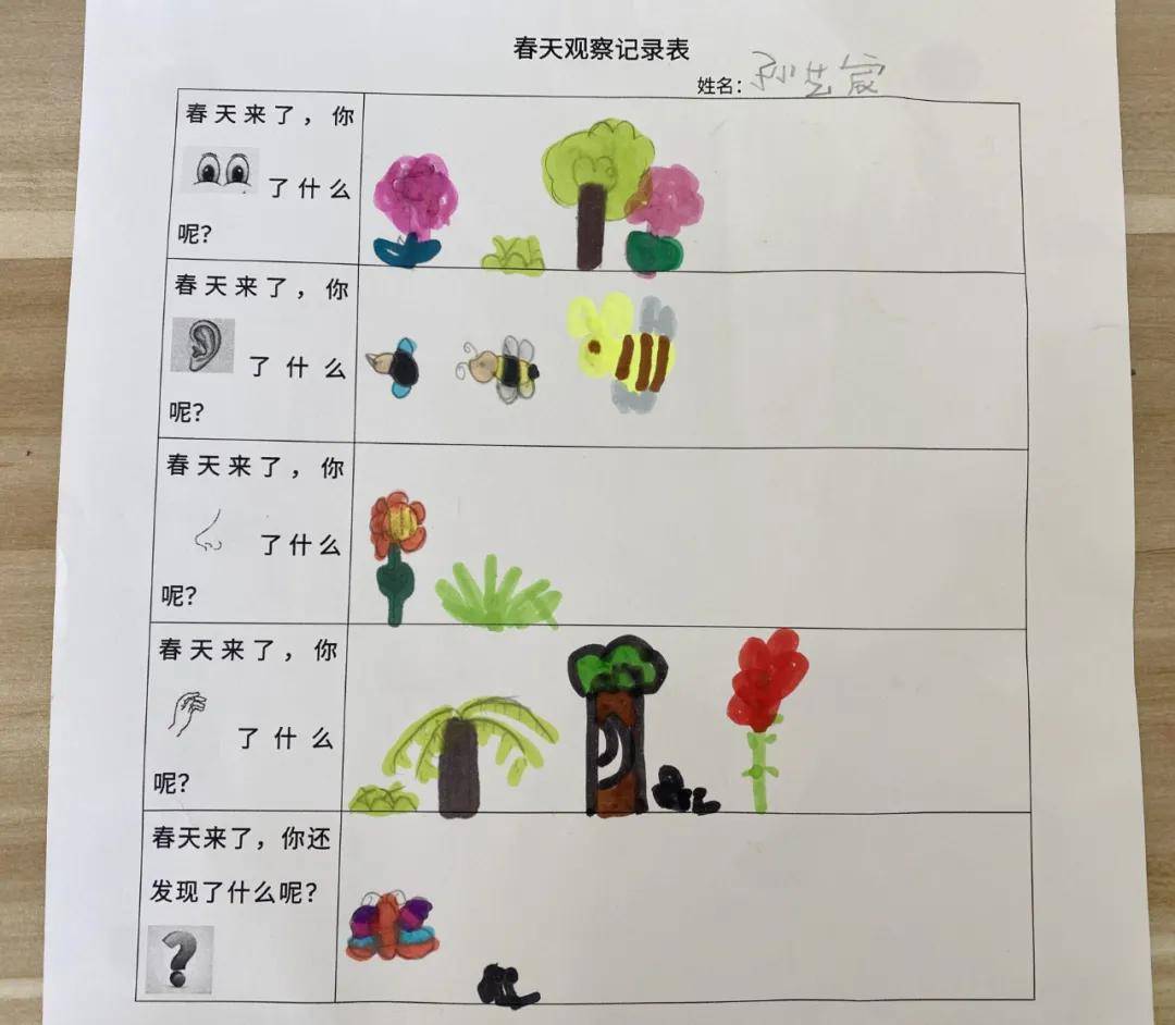 幼儿园春天大调查图片