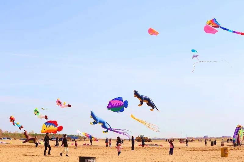 风筝节可有你的身影4月来红碱淖一起追赶春天的脚步