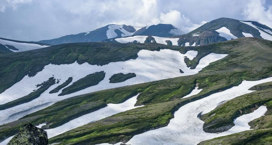 2021年一季度家电市场营销的新变化-家电圈官网