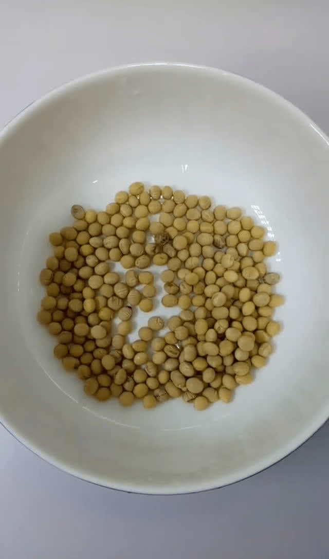 c687fa0f2b07458494c8981e394d5af8.png