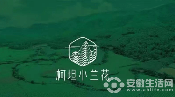 庐江县"柯坦小兰花"茶叶品牌logo征集作品评审会召开,获奖作品出炉!