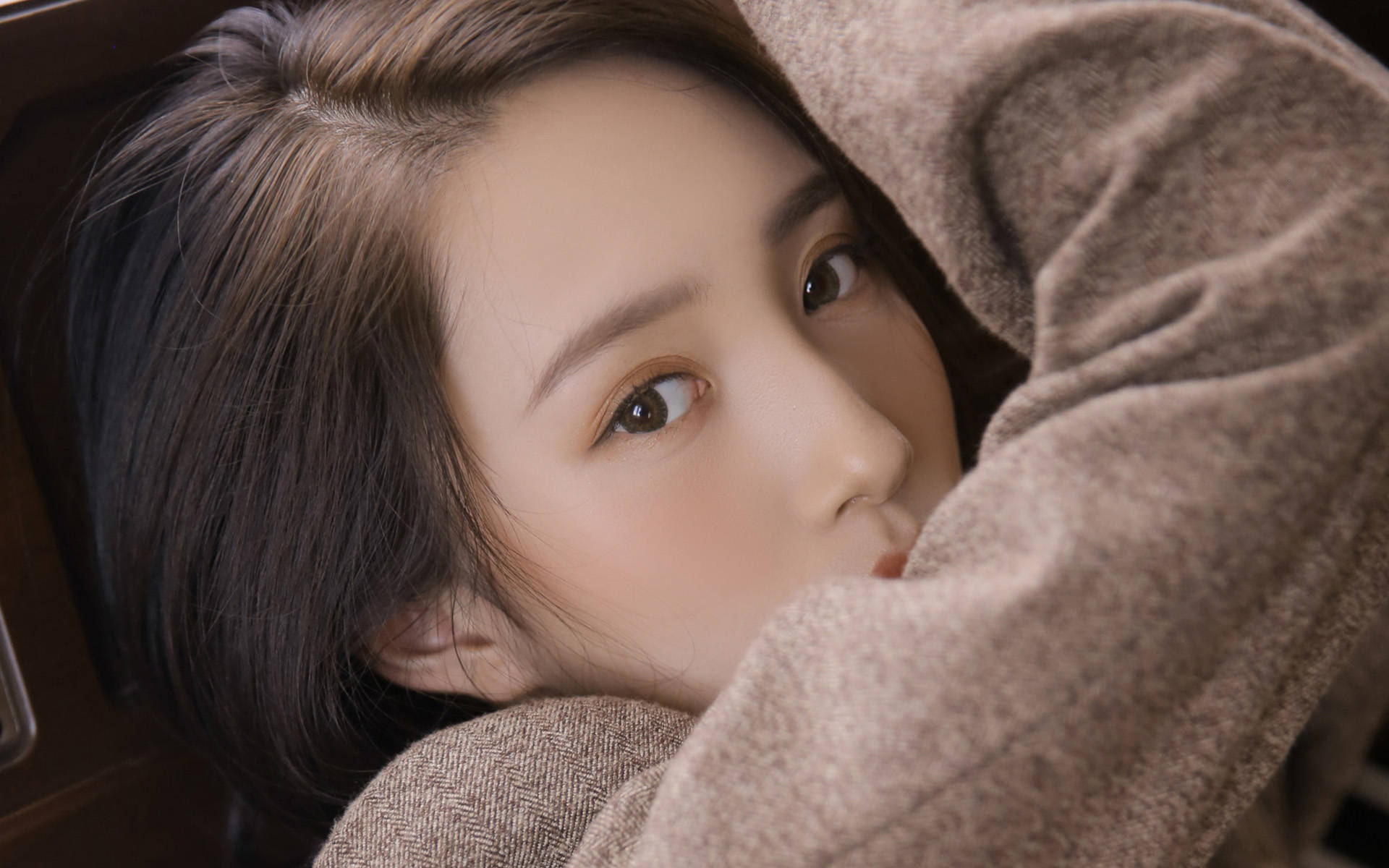 春暖四月天,喜鹊报喜,桃花盛开,爱情双丰收的大三星座