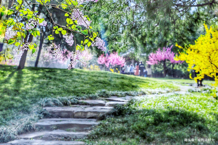 北京最美赏花公园：五朝皇家园林，门票仅10元，此时花开正艳！