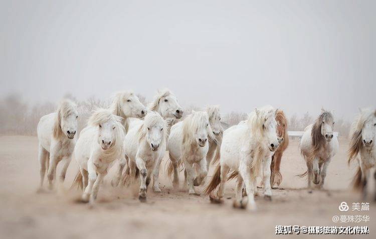 蔓什么成语_成语故事图片(2)