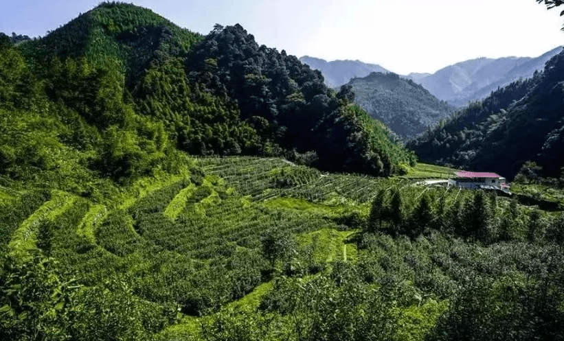 桂林市准备投资1.85亿元修这条路，打通这个藏在深山里的乡镇