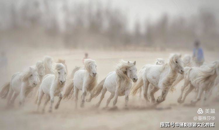 蔓什么成语_成语故事图片