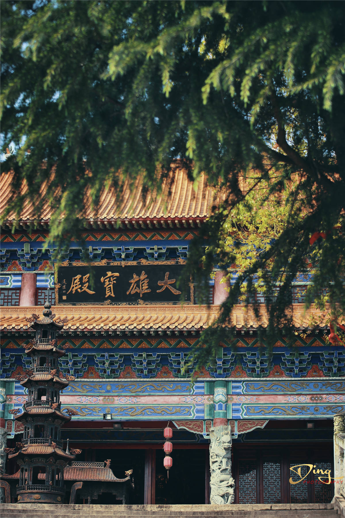 武汉灵泉寺那一片的龙脉落花听雨一方净土真佛境