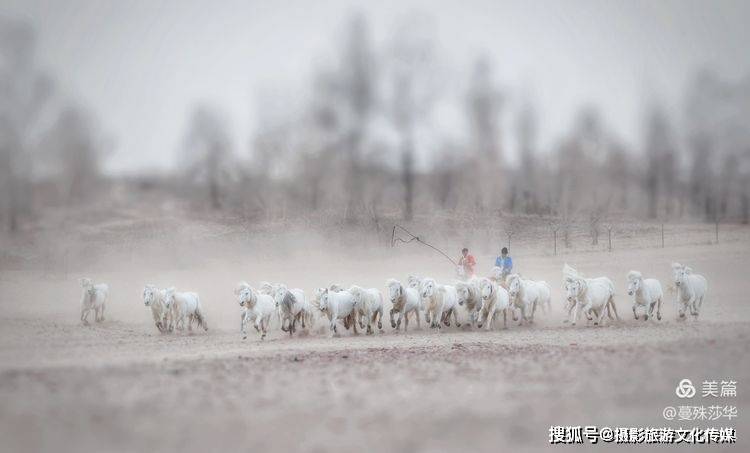 蔓什么成语_成语故事图片