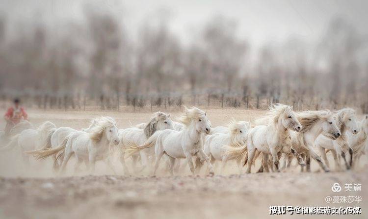 蔓什么成语_成语故事图片