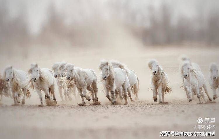 蔓什么成语_成语故事图片