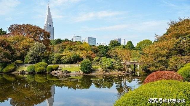 日本两大赏樱地新宿御苑 上野公园 21年的樱花要孤芳自赏了 的花园