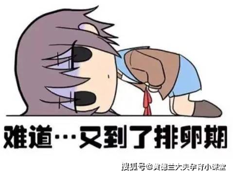 52030bfc06a74ab290487420223e2876.jpeg