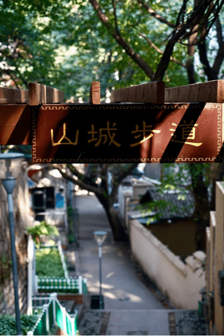 重庆人文画卷 | 巴教村 穿过山城肌理深处的书香