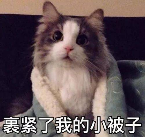 278ea82a801c462d94f2e031a3c707ba.jpeg
