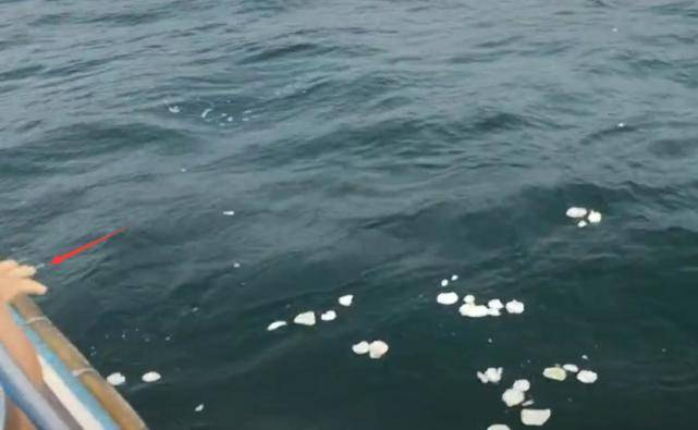 原创孙侨潞去世97天妈妈海上撒满花瓣祭扫疑证实女儿为海葬无墓地