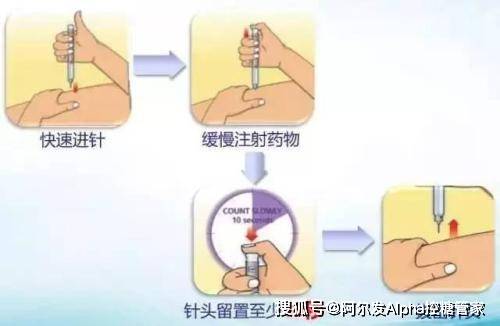 53f4a5afce154df49bc5357d3f10ff65.jpeg