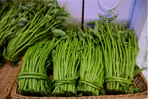 原创俗称抽筋菜1年能采收十几次亩产达16000斤水陆都能种