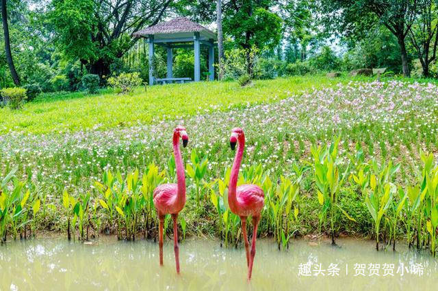 广东最多彩的湿地公园，这里有桂林的山和杭州的水，超适合周末游