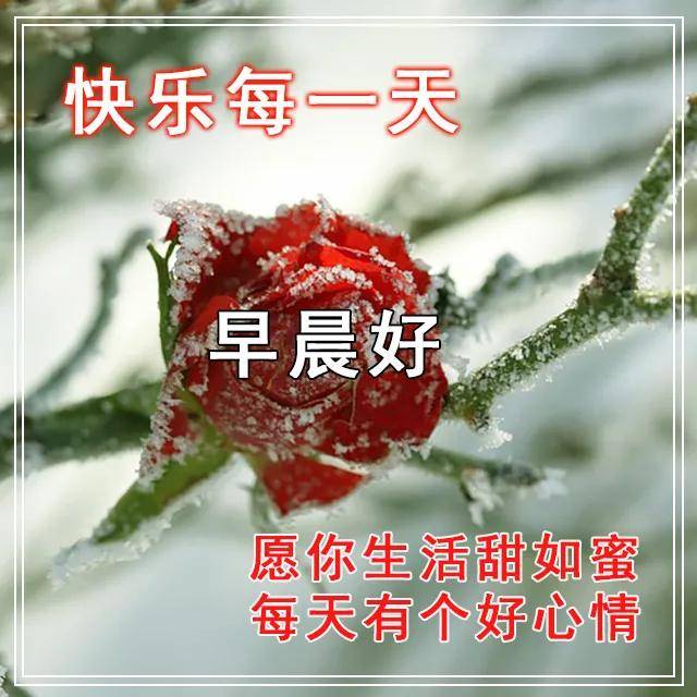 原创精选早上好祝福图片朋友圈祝福语句经典温馨早安祝福提示